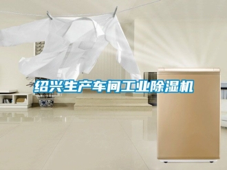 常見問題紹興生產車間工業除濕機