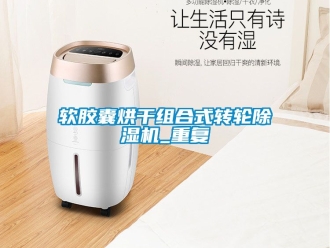 常見問題軟膠囊烘干組合式轉輪除濕機_重復