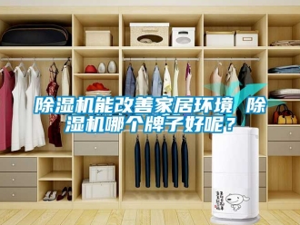行業(yè)新聞除濕機(jī)能改善家居環(huán)境 除濕機(jī)哪個(gè)牌子好呢？