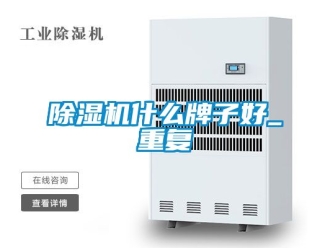 行業(yè)新聞除濕機什么牌子好_重復