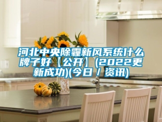 企業新聞河北中央除霾新風系統什么牌子好【公開】(2022更新成功)(今日／資訊)