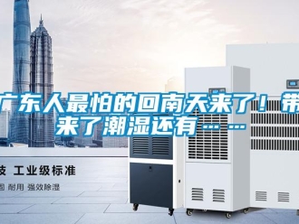 行業新聞廣東人最怕的回南天來了！帶來了潮濕還有……