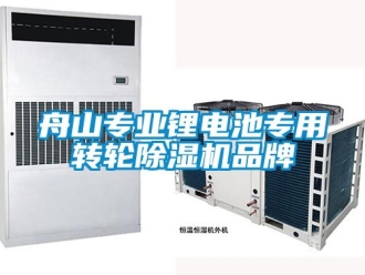 常見問題舟山專業鋰電池專用轉輪除濕機品牌