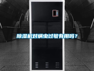 行業新聞除濕機對螨蟲過敏有用嗎？
