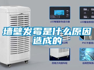 行業新聞墻壁發霉是什么原因造成的