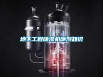 企業(yè)新聞地下工程除濕機(jī)除濕知識(shí)