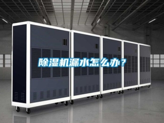 行業新聞除濕機漏水怎么辦？