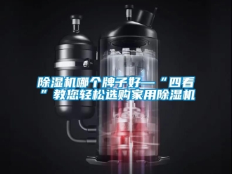常見問題除濕機哪個牌子好—“四看”教您輕松選購家用除濕機