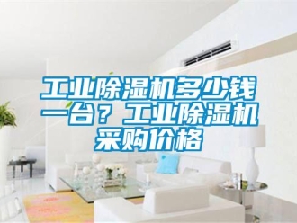 企業新聞工業除濕機多少錢一臺？工業除濕機采購價格