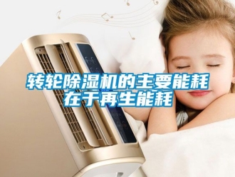 常見問題轉輪除濕機的主要能耗在于再生能耗