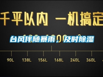 知識百科臺風伴隨暴雨，及時除濕