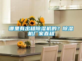 行業新聞哪里有出租除濕機的？除濕機廠家直租
