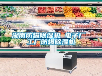 企業新聞湖南防爆除濕機 電子廠 工廠防爆除濕機