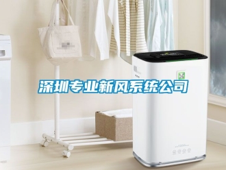 企業(yè)新聞深圳專業(yè)新風系統(tǒng)公司