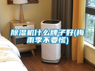 行業(yè)新聞除濕機什么牌子好(梅雨季不要慌)