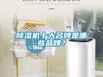 企業新聞除濕機十大名牌是哪些品牌？