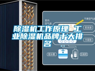 常見問題除濕機工作原理 工業除濕機品牌十大排名