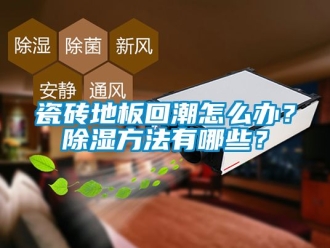 企業(yè)新聞瓷磚地板回潮怎么辦？除濕方法有哪些？