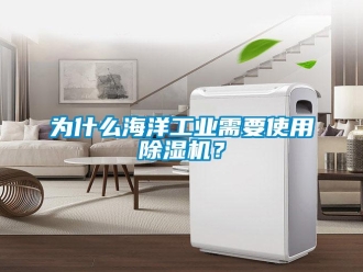 知識百科為什么海洋工業需要使用除濕機？
