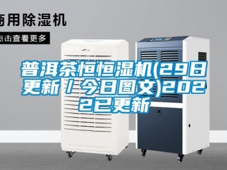 知識百科普洱茶恒恒濕機(29日更新／今日圖文)2022已更新