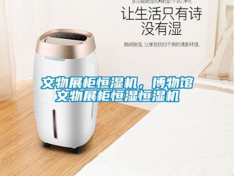 知識百科文物展柜恒濕機，博物館文物展柜恒濕恒濕機