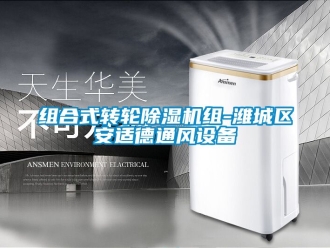 常見問題組合式轉輪除濕機組-濰城區安適德通風設備