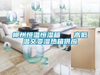 知識百科柳州恒溫恒濕箱   高低溫交變濕熱箱供應