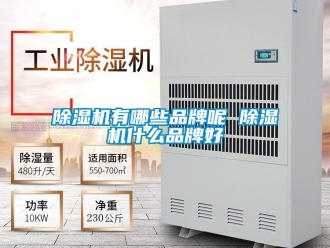 企業新聞除濕機有哪些品牌呢 除濕機什么品牌好