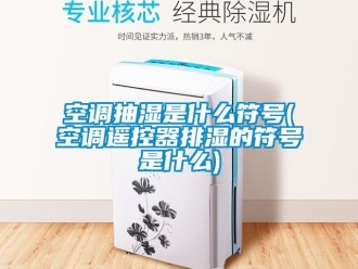 企業(yè)新聞空調(diào)抽濕是什么符號(空調(diào)遙控器排濕的符號是什么)