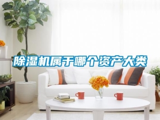 行業新聞除濕機屬于哪個資產大類
