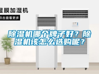 行業新聞除濕機哪個牌子好？除濕機該怎么選購呢？