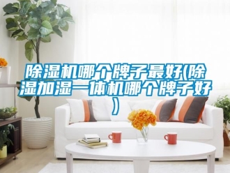 行業新聞除濕機哪個牌子最好(除濕加濕一體機哪個牌子好)
