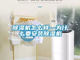行業新聞除濕機怎么樣—為什么要安裝除濕機