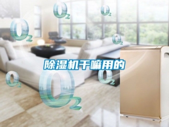 行業新聞除濕機干嘛用的