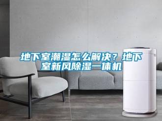 常見問題地下室潮濕怎么解決？地下室新風除濕一體機