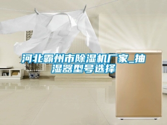 企業新聞河北霸州市除濕機廠家_抽濕器型號選擇