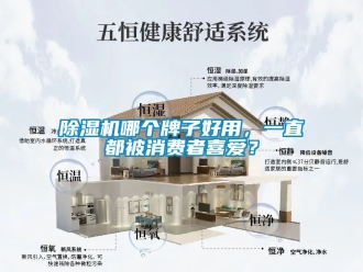 行業新聞除濕機哪個牌子好用，一直都被消費者喜愛？