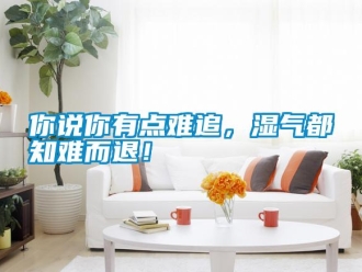 行業新聞你說你有點難追，濕氣都知難而退！