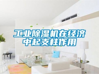 企業新聞工業除濕機在經濟中起支柱作用