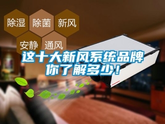 企業新聞這十大新風系統品牌你了解多少！