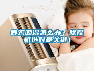 常見(jiàn)問(wèn)題養(yǎng)雞潮濕怎么辦？除濕機(jī)選對(duì)是關(guān)鍵！