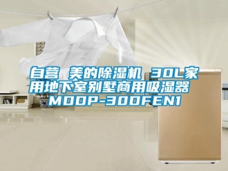 常見問題自營 美的除濕機 30L家用地下室別墅商用吸濕器 MDDP-30DFEN1