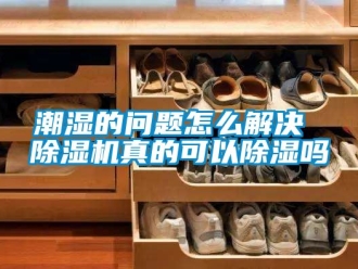 企業(yè)新聞潮濕的問題怎么解決 除濕機真的可以除濕嗎