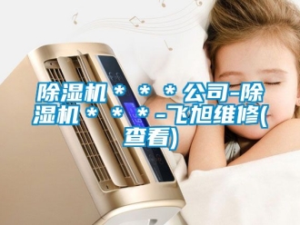 企業新聞除濕機＊＊＊公司-除濕機＊＊＊-飛旭維修(查看)