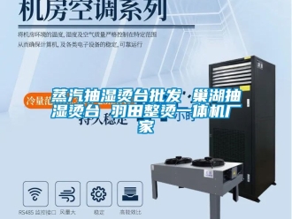 企業新聞蒸汽抽濕燙臺批發 巢湖抽濕燙臺 羽田整燙一體機廠家