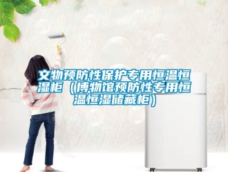 知識百科文物預防性保護專用恒溫恒濕柜（博物館預防性專用恒溫恒濕儲藏柜）