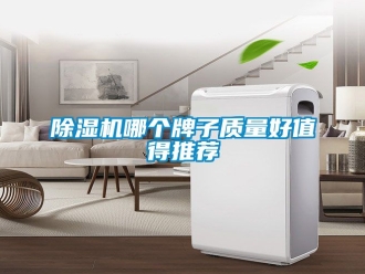 行業新聞除濕機哪個牌子質量好值得推薦