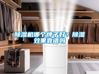 行業新聞除濕機哪個牌子好？除濕效果靠譜嗎