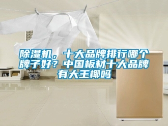 企業新聞除濕機，十大品牌排行哪個牌子好？中國板材十大品牌有大王椰嗎
