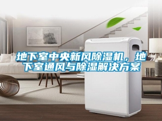 企業新聞地下室中央新風除濕機，地下室通風與除濕解決方案